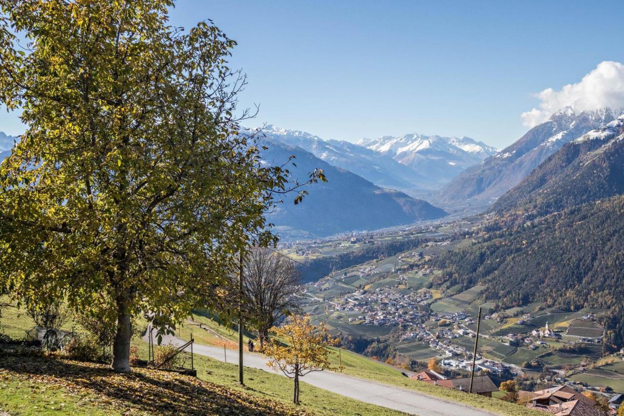 Hoferhof Apartement Bergzauber Scena Kültér fotó